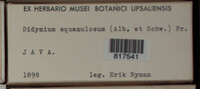 Image Associated With the Occurence